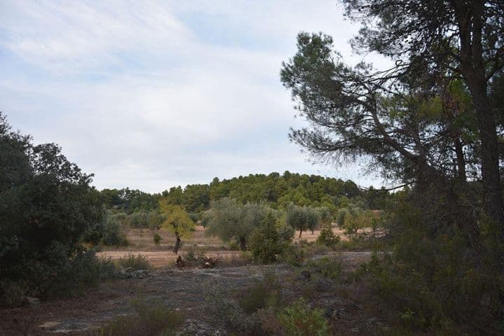 House for sale in Valderrobres, Spain - Image 4