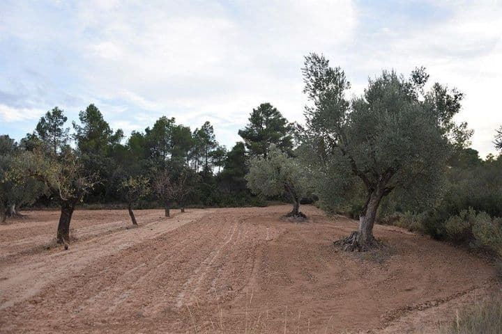 House for sale in Valderrobres, Spain - Image 9