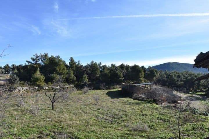 House for sale in Matarrana, Spain - Image 5