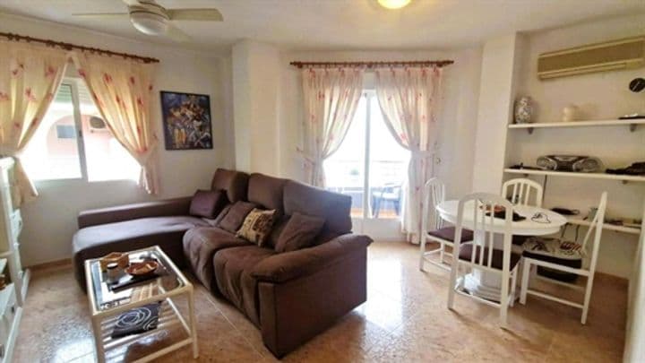 3 bedrooms apartment for sale in Torrevieja, Spain - Image 5