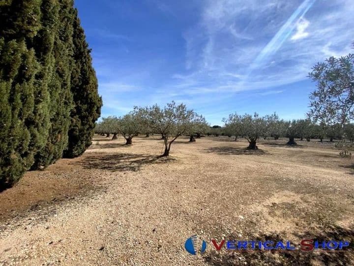 House for sale in Albacete, Spain - Image 9