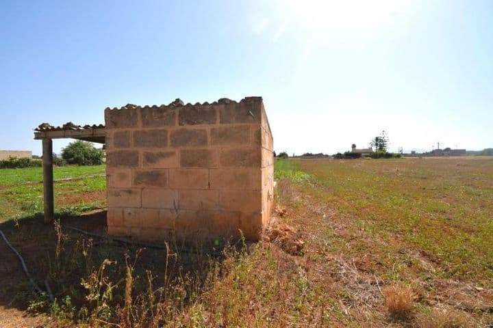 House for sale in Mallorca, Spain - Image 2