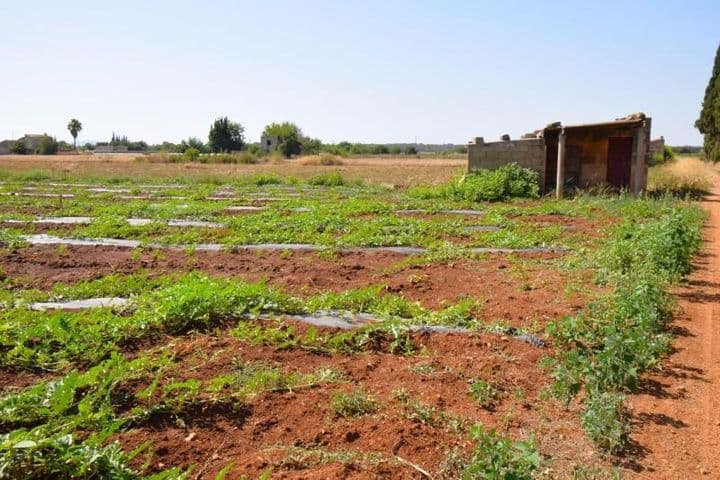 House for sale in Mallorca, Spain - Image 11