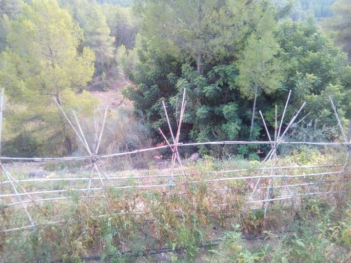 House for sale in Tivissa, Spain - Image 8