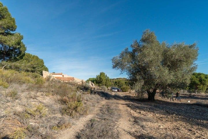 3 bedrooms house for sale in Pinar de Campoverde, Spain - Image 3