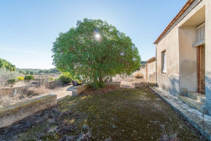 3 bedrooms house for sale in Pinar de Campoverde, Spain - Image 2