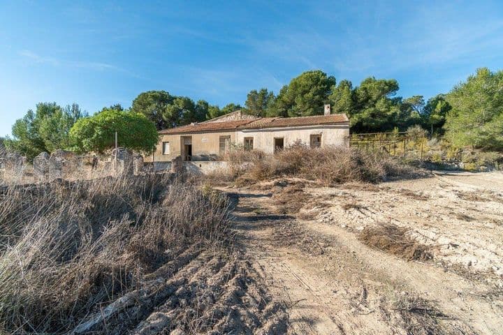 3 bedrooms house for sale in Pinar de Campoverde, Spain - Image 5