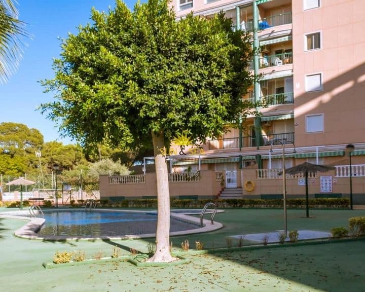 1 bedroom apartment for rent in Guardamar del Segura, Spain - Image 7