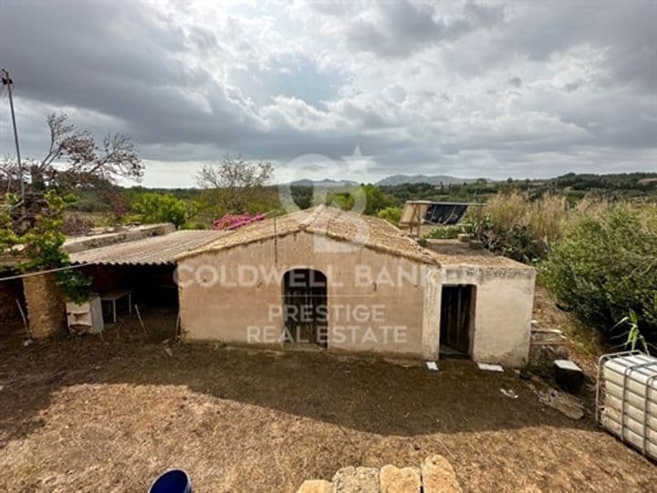 Other for sale in Arta, Spain - Image 3