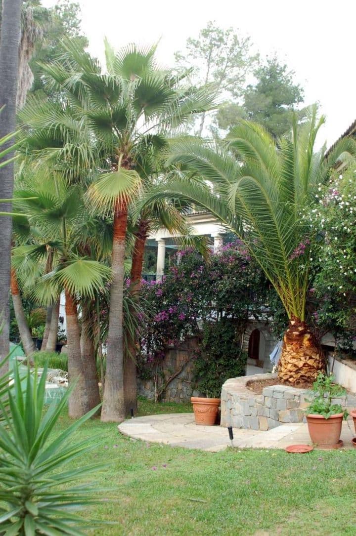 4 bedrooms house for sale in Palma de Mallorca, Spain - Image 11