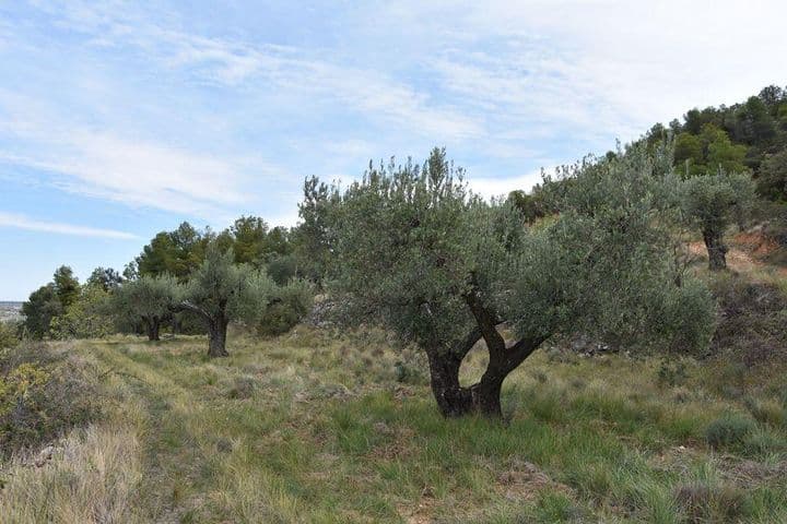 House for sale in Valderrobres, Spain - Image 7