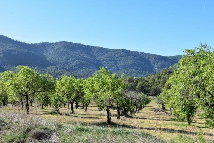 House for sale in Valderrobres, Spain - Image 8