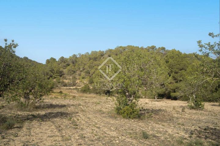 5 bedrooms house for sale in Sant Josep de sa Talaia, Spain - Image 5