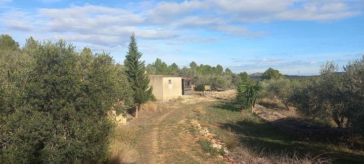 House for sale in El Perello, Spain - Image 4