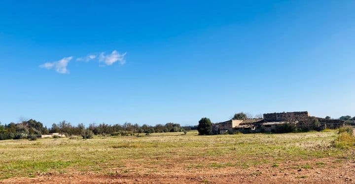 House for sale in Mallorca, Spain - Image 5