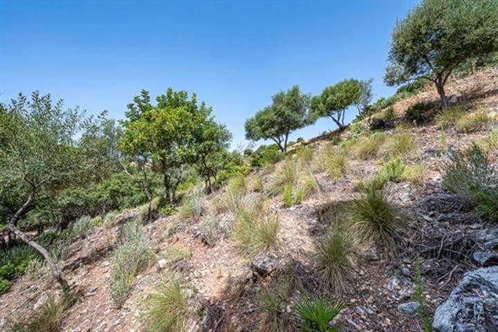 House for sale in Benahavis, Spain - Image 2