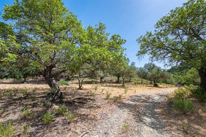 House for sale in Benahavis, Spain - Image 4