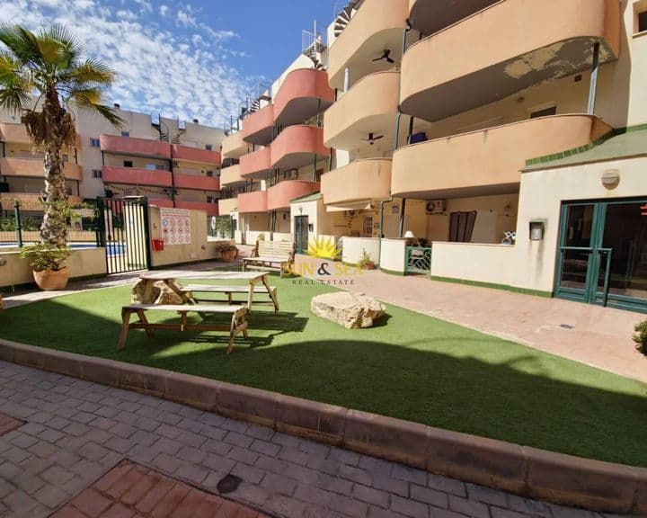 1 bedroom apartment for rent in Almoradi, Spain - Image 12