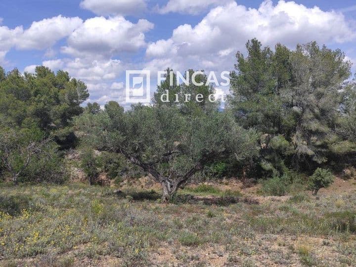 1 bedroom house for sale in El Perello, Spain - Image 7