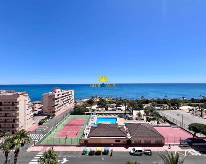 1 bedroom apartment for rent in La Mata, Spain - Image 10