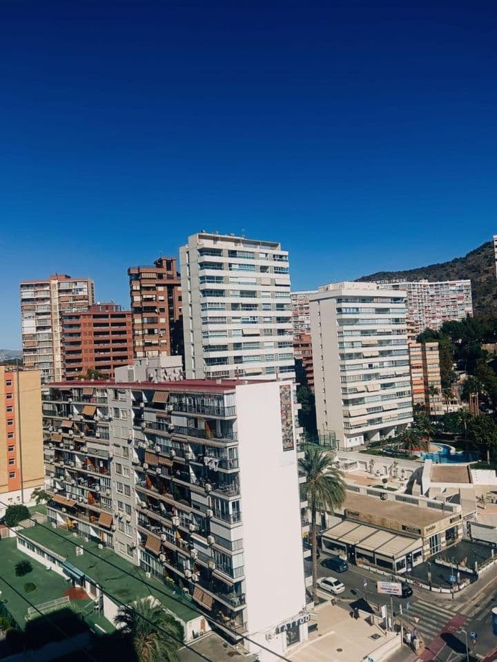 1 bedroom apartment for rent in Benidorm, Spain - Image 3