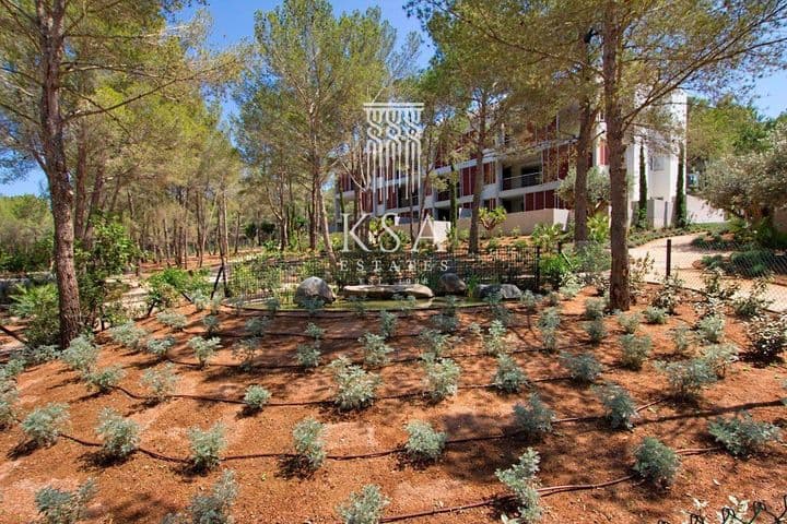 Apartment for rent in Calvia, Spain - Image 2