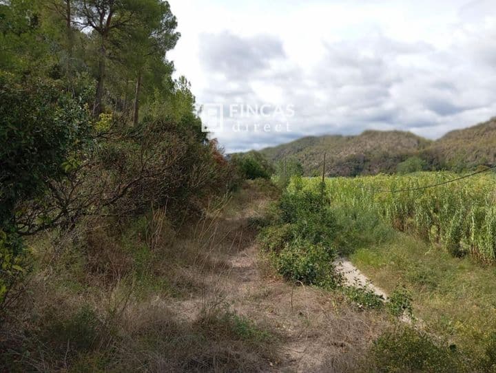 House for sale in Bajo Ebro, Spain - Image 6