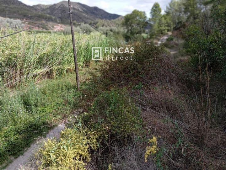 House for sale in Bajo Ebro, Spain - Image 8