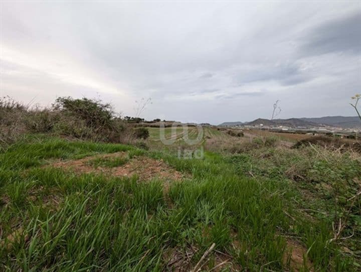 Other for sale in Santa Cruz de Tenerife, Spain - Image 3