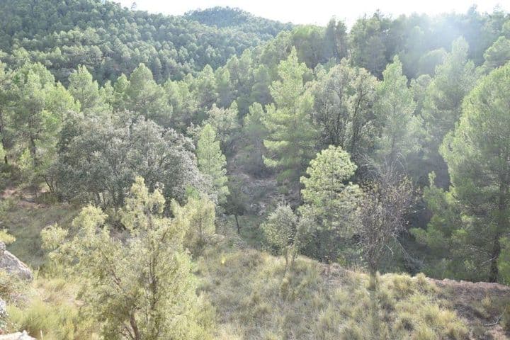 House for sale in Teruel, Spain - Image 6