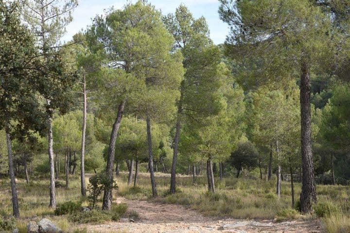 House for sale in Teruel, Spain - Image 7