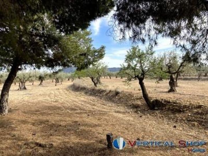 1 bedroom house for sale in Albacete, Spain - Image 7