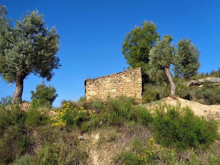 House for sale in Maella, Spain - Image 11