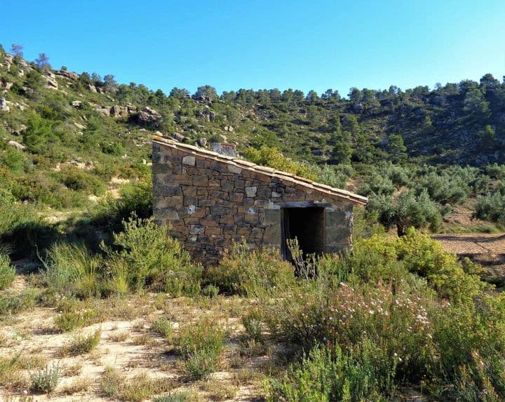 House for sale in Maella, Spain - Image 3