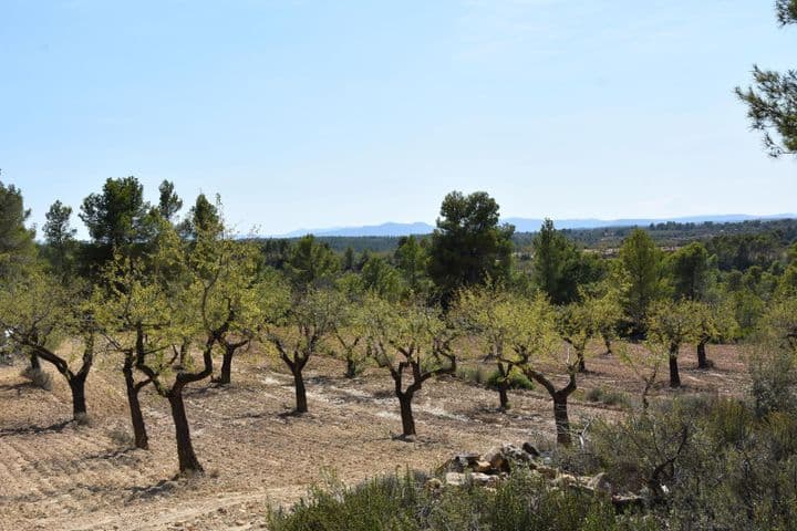 House for sale in Arens de Lledo, Spain - Image 2