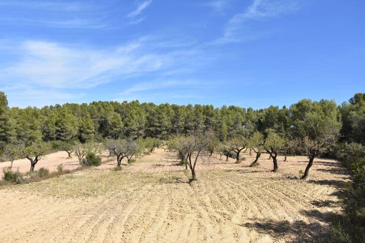 House for sale in Arens de Lledo, Spain