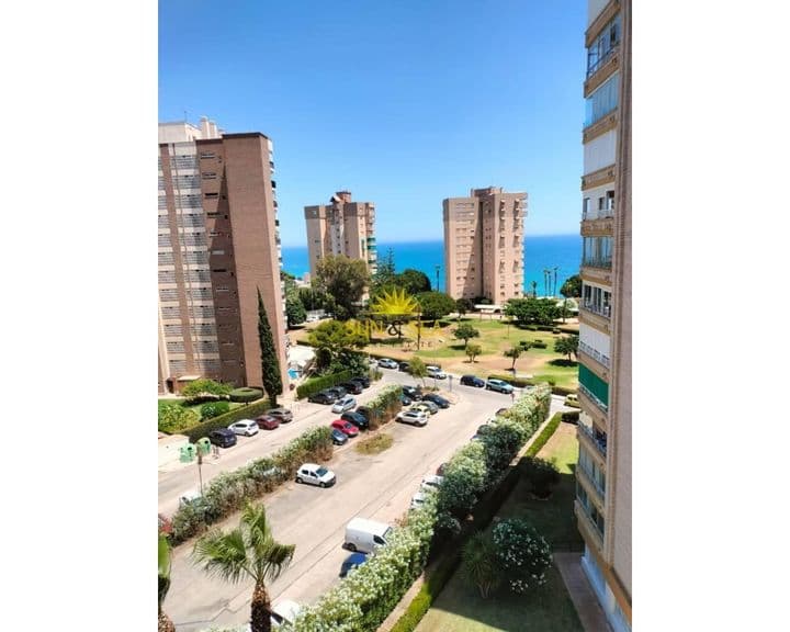 1 bedroom apartment for rent in Campoamor, Spain - Image 2