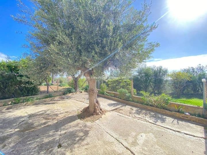 4 bedrooms house for sale in Palma de Mallorca, Spain - Image 6