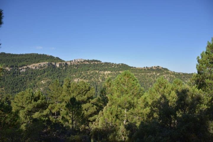 House for sale in Matarrana, Spain - Image 6