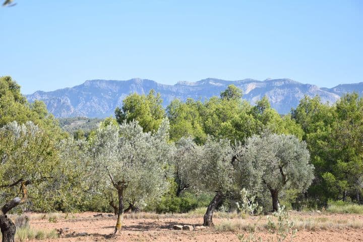 House for sale in Arens de Lledo, Spain - Image 6