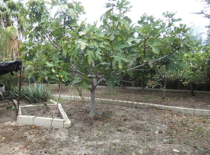 3 bedrooms house for sale in Molina de Segura, Spain - Image 11