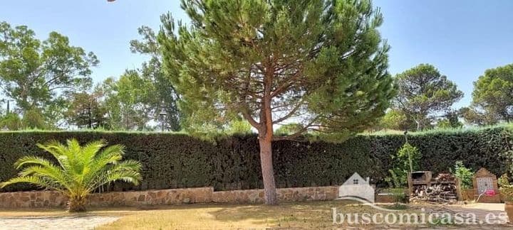 5 bedrooms house for sale in Granadilla de Abona, Spain - Image 7