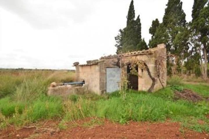 1 bedroom house for sale in Mallorca, Spain - Image 2