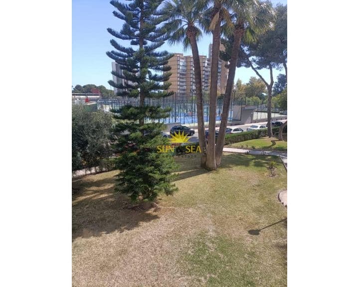 1 bedroom apartment for rent in Campoamor, Spain - Image 3