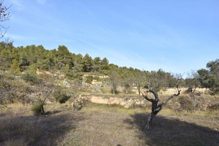 House for sale in Arens de Lledo, Spain - Image 4