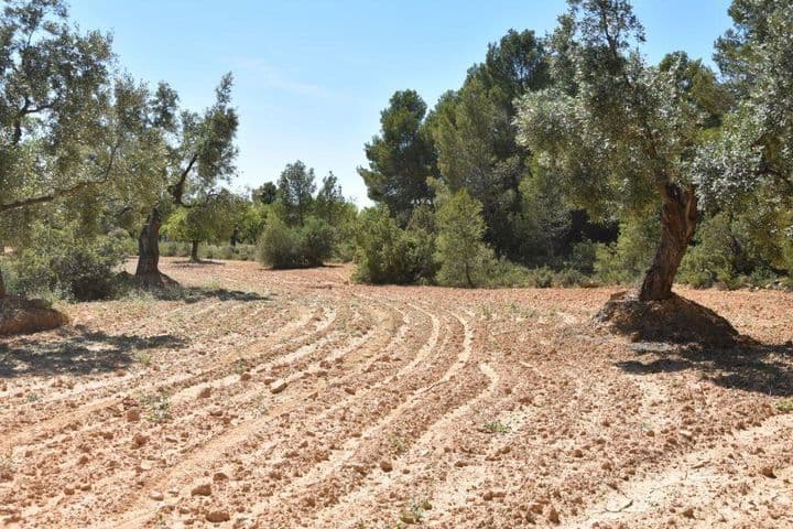 House for sale in Matarrana, Spain - Image 7