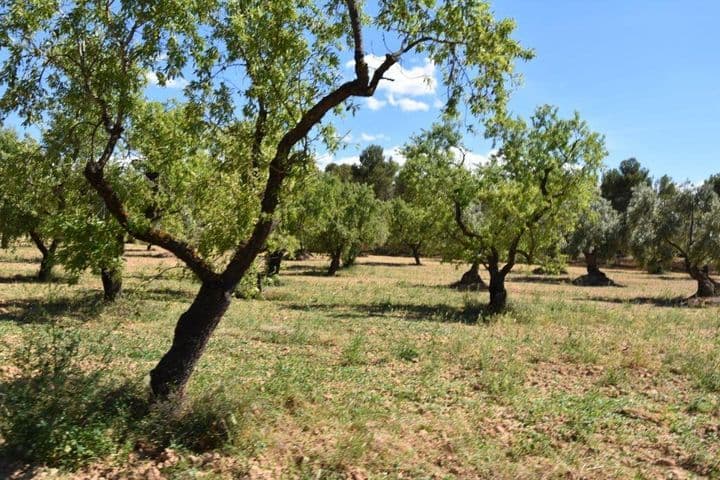 House for sale in Matarrana, Spain - Image 2