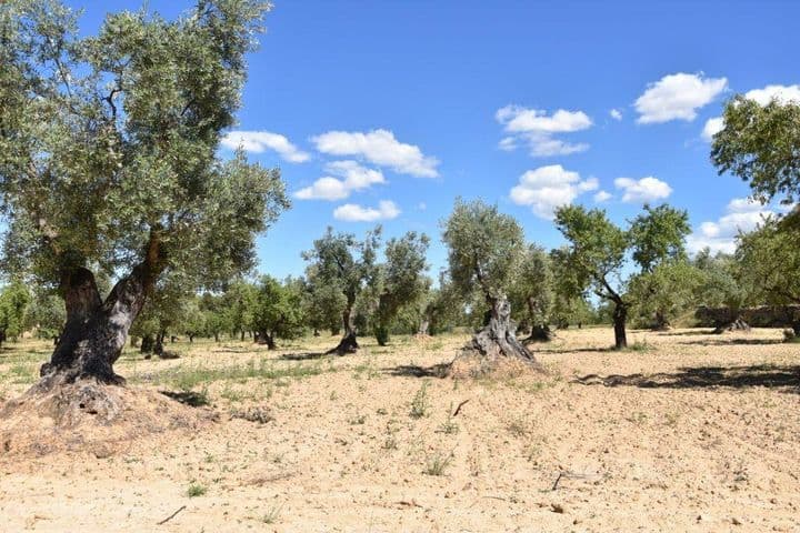 House for sale in Matarrana, Spain - Image 9