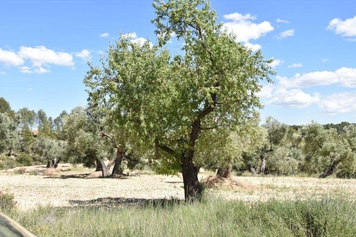 House for sale in Matarrana, Spain - Image 4