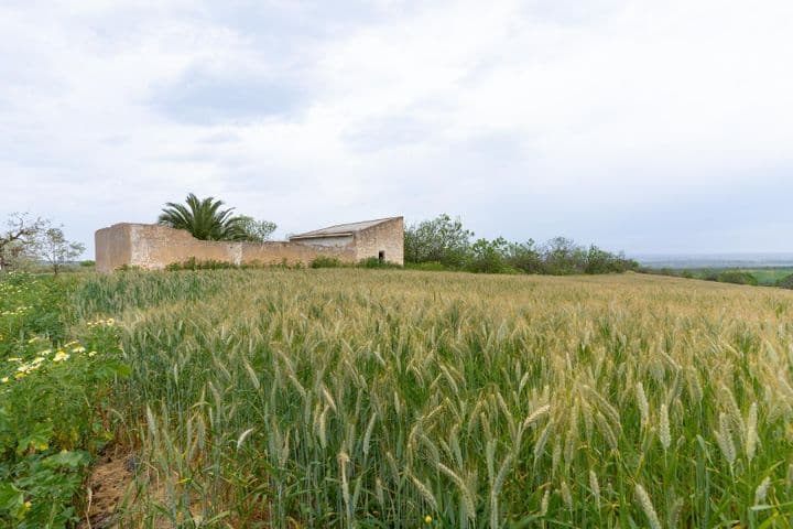 2 bedrooms house for sale in Bonares, Spain - Image 3